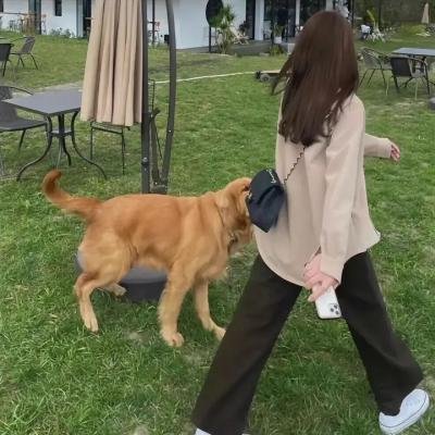 波特小姐